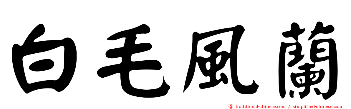 白毛風蘭