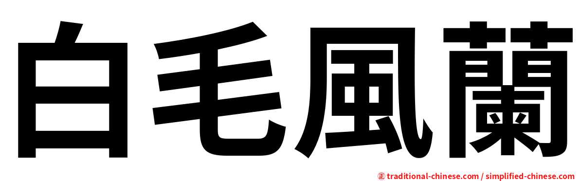 白毛風蘭