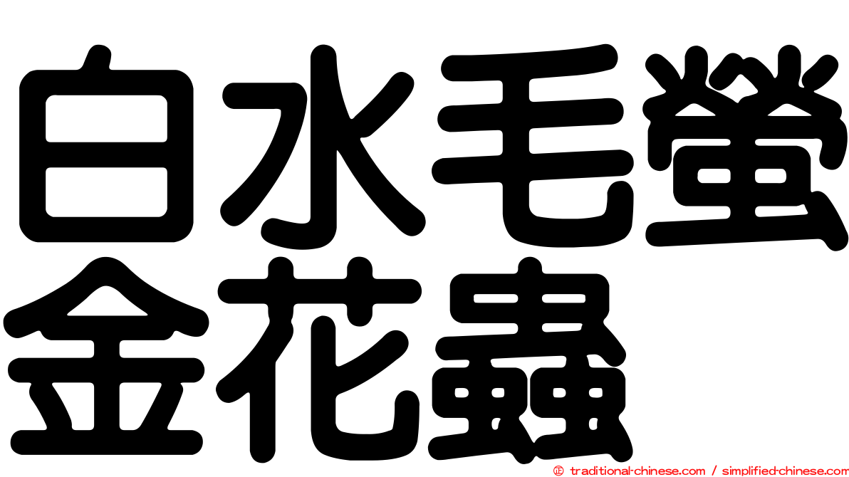 白水毛螢金花蟲