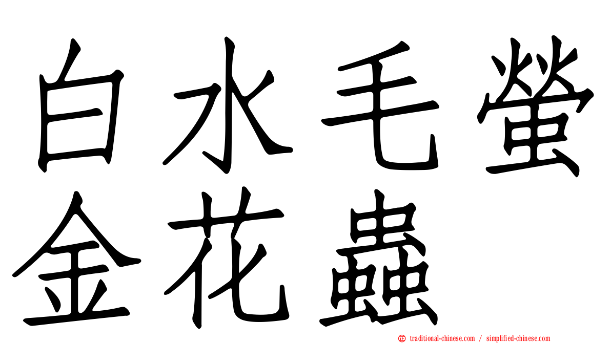 白水毛螢金花蟲