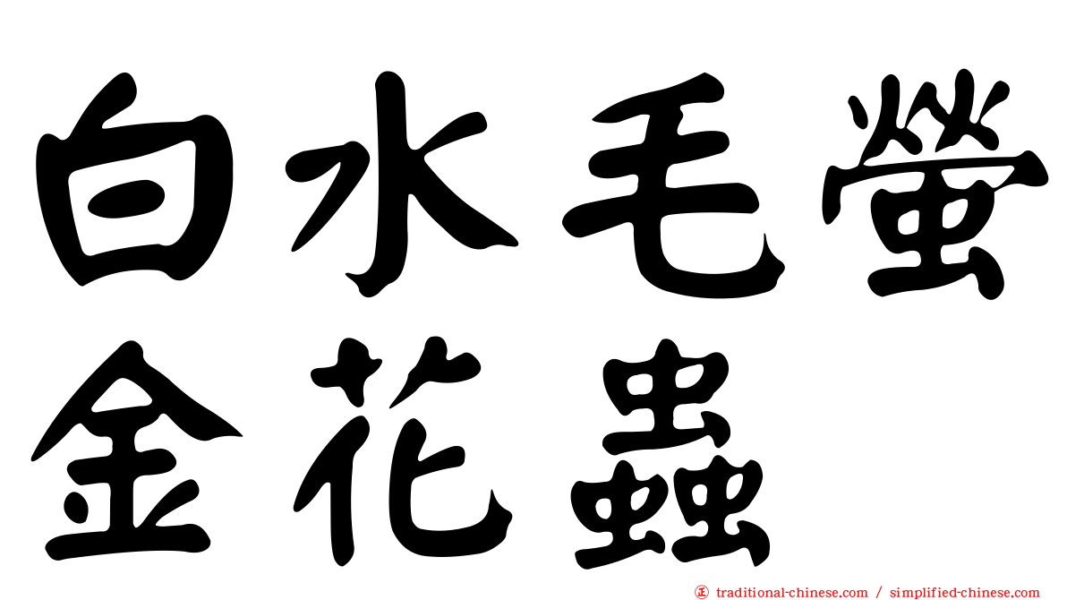 白水毛螢金花蟲