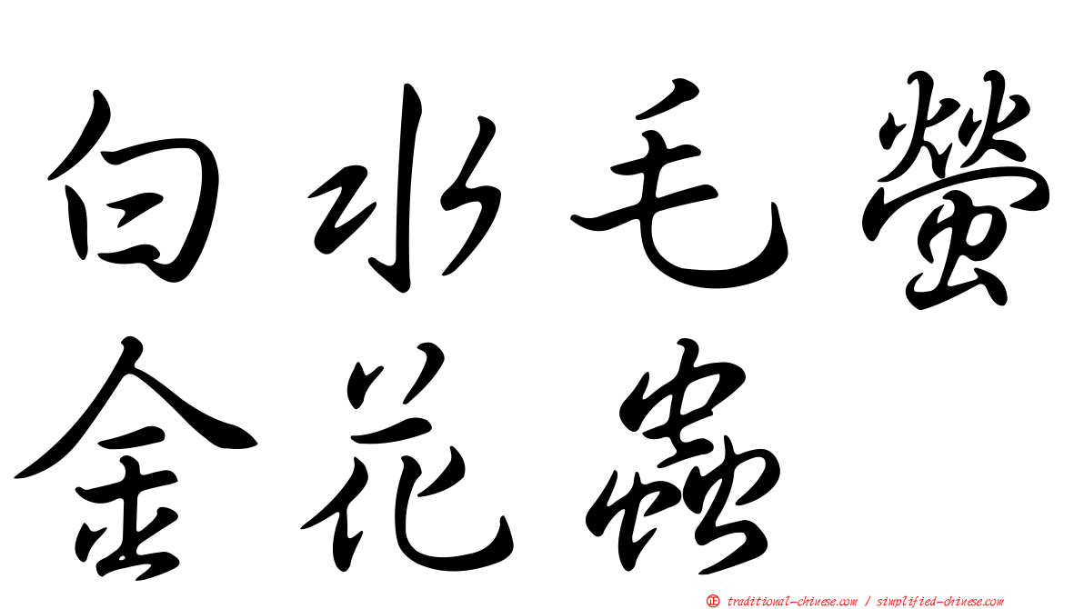 白水毛螢金花蟲