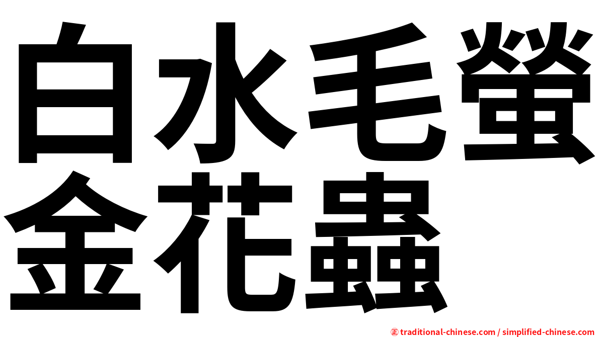 白水毛螢金花蟲