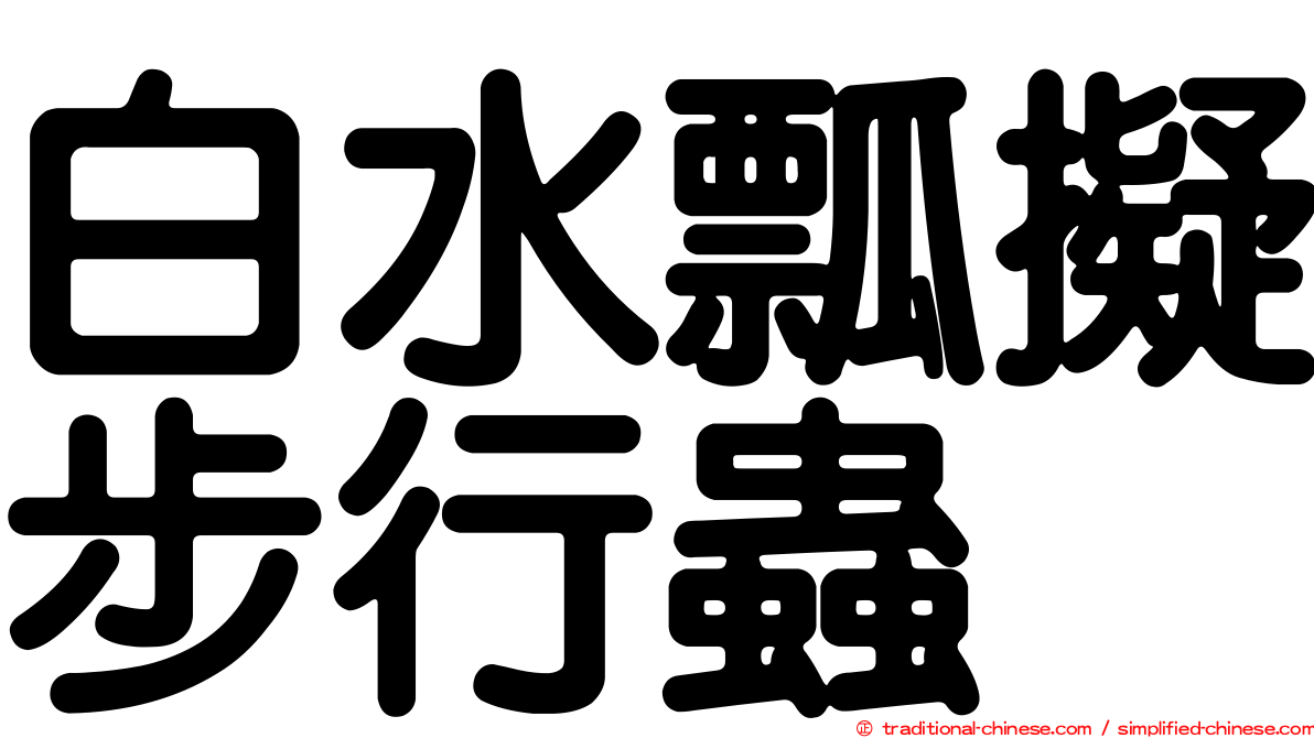 白水瓢擬步行蟲