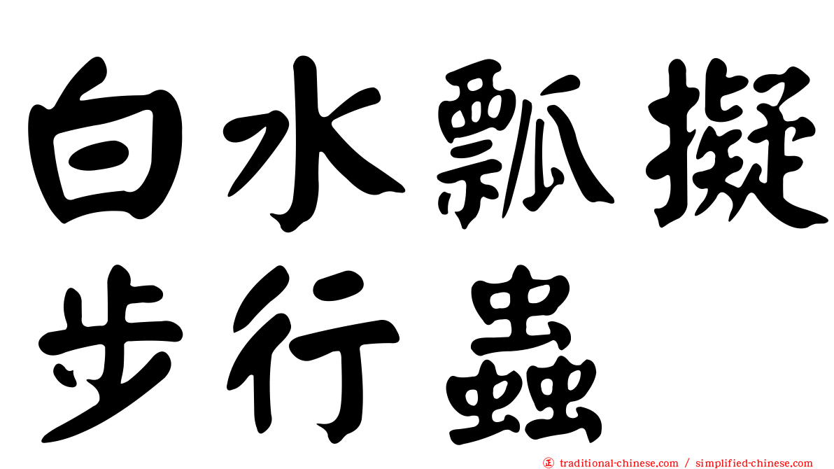 白水瓢擬步行蟲