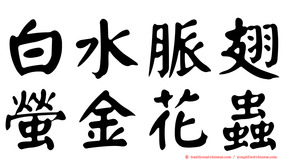白水脈翅螢金花蟲