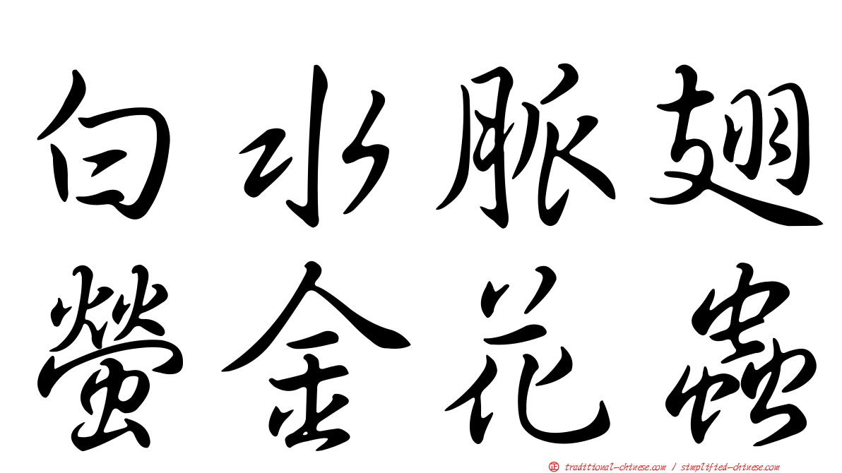 白水脈翅螢金花蟲