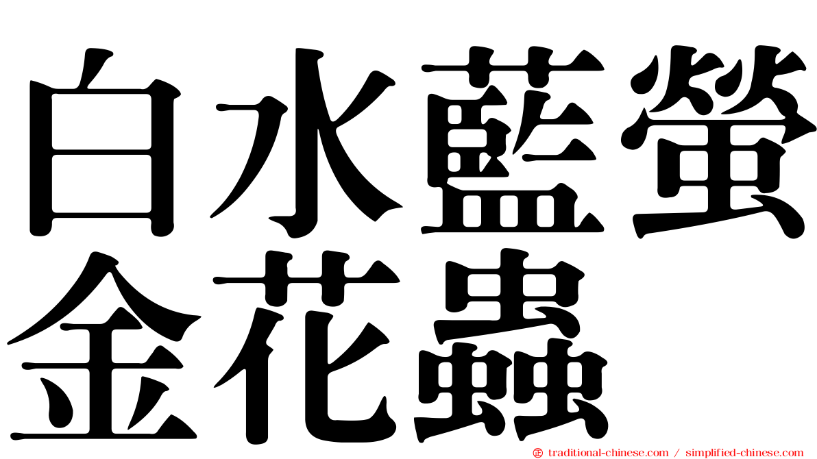 白水藍螢金花蟲