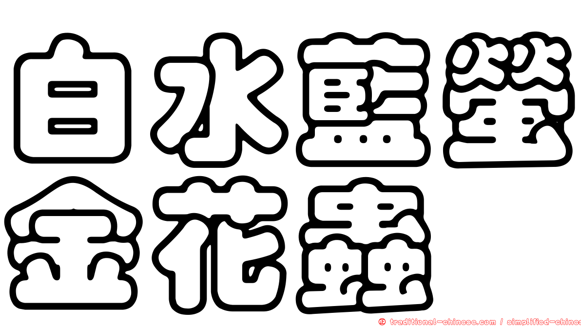 白水藍螢金花蟲