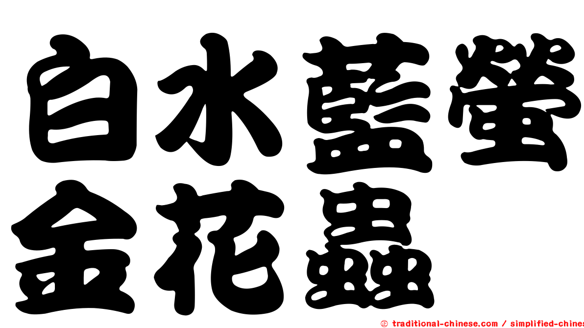 白水藍螢金花蟲