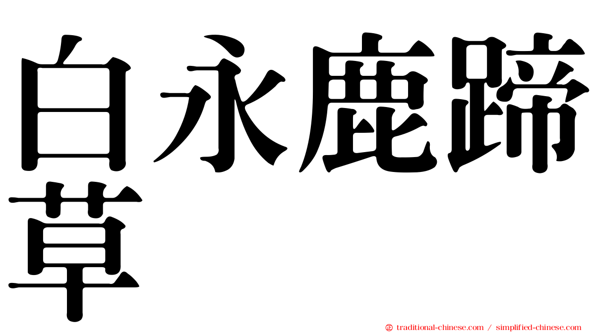 白永鹿蹄草