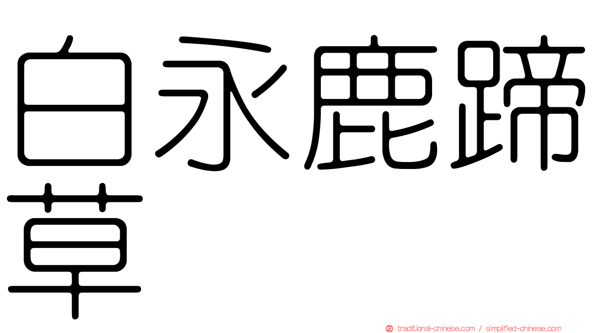 白永鹿蹄草