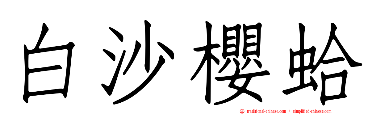 白沙櫻蛤