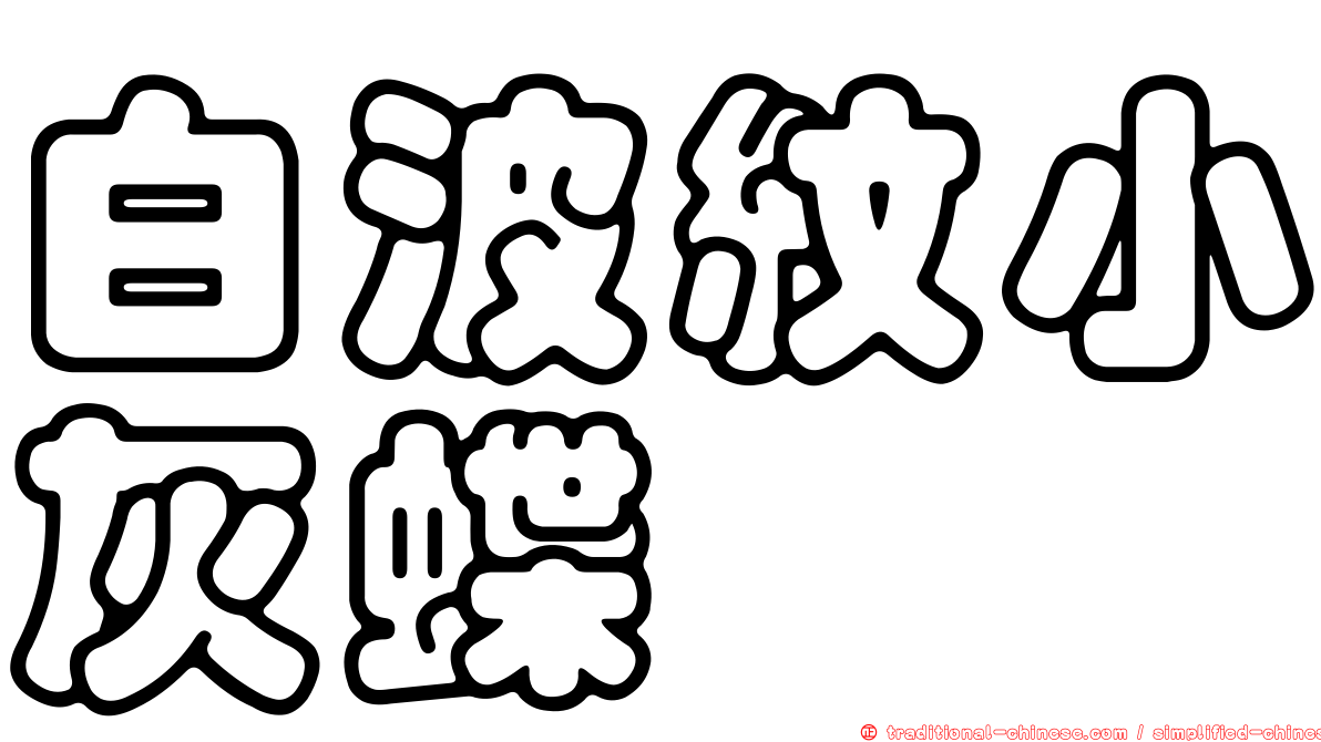 白波紋小灰蝶