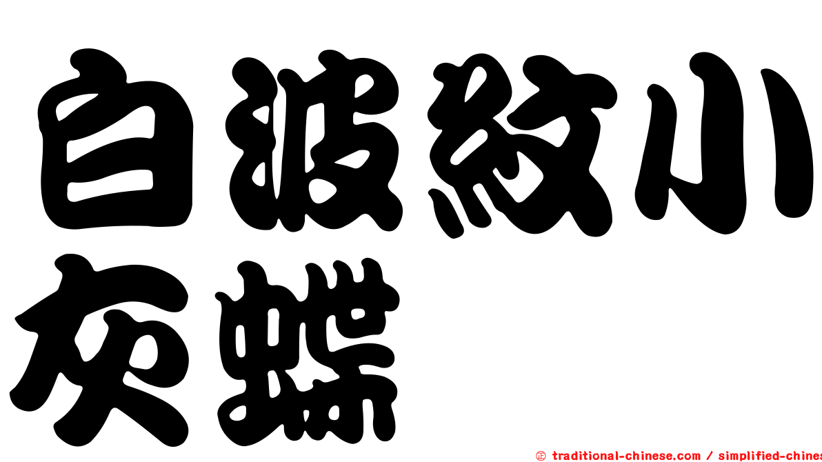 白波紋小灰蝶