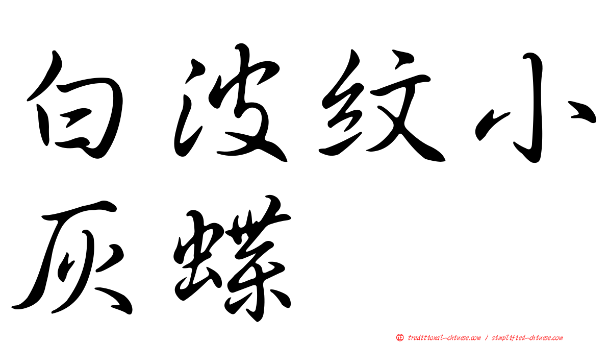 白波紋小灰蝶