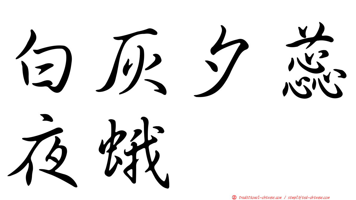 白灰夕蕊夜蛾