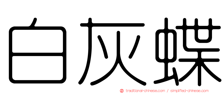 白灰蝶