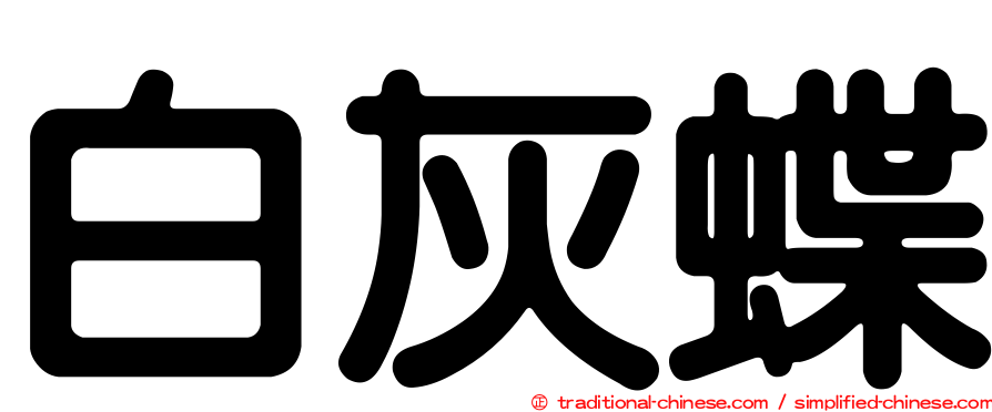 白灰蝶
