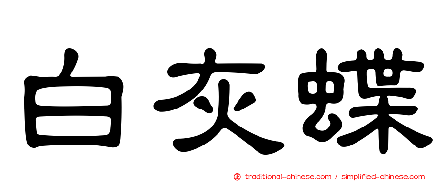 白灰蝶