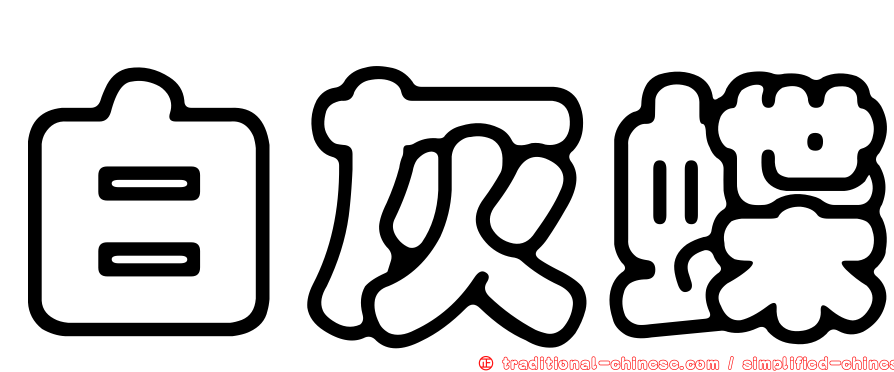 白灰蝶