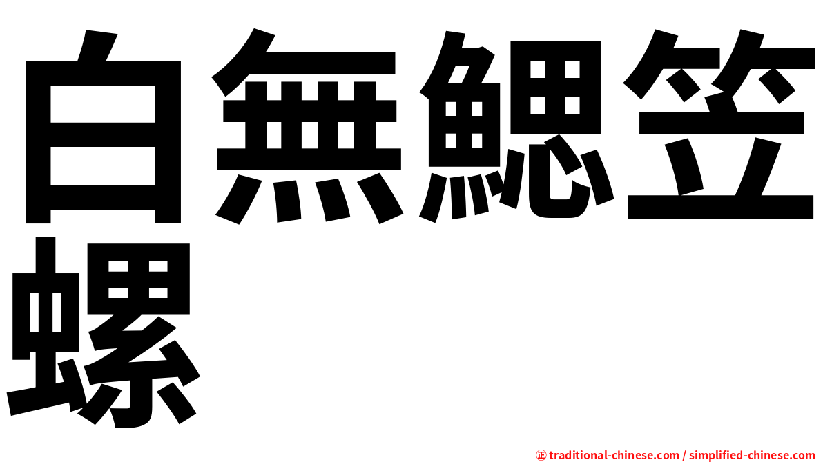 白無鰓笠螺