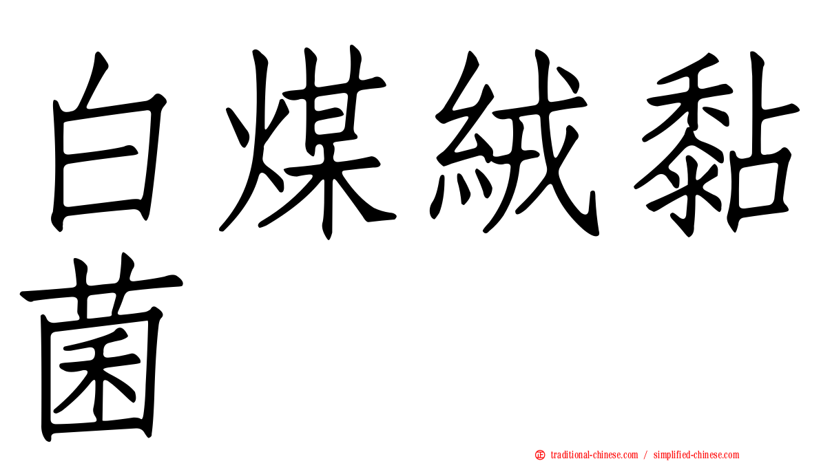 白煤絨黏菌