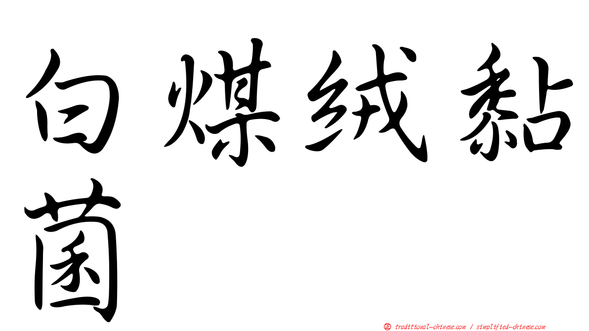 白煤絨黏菌