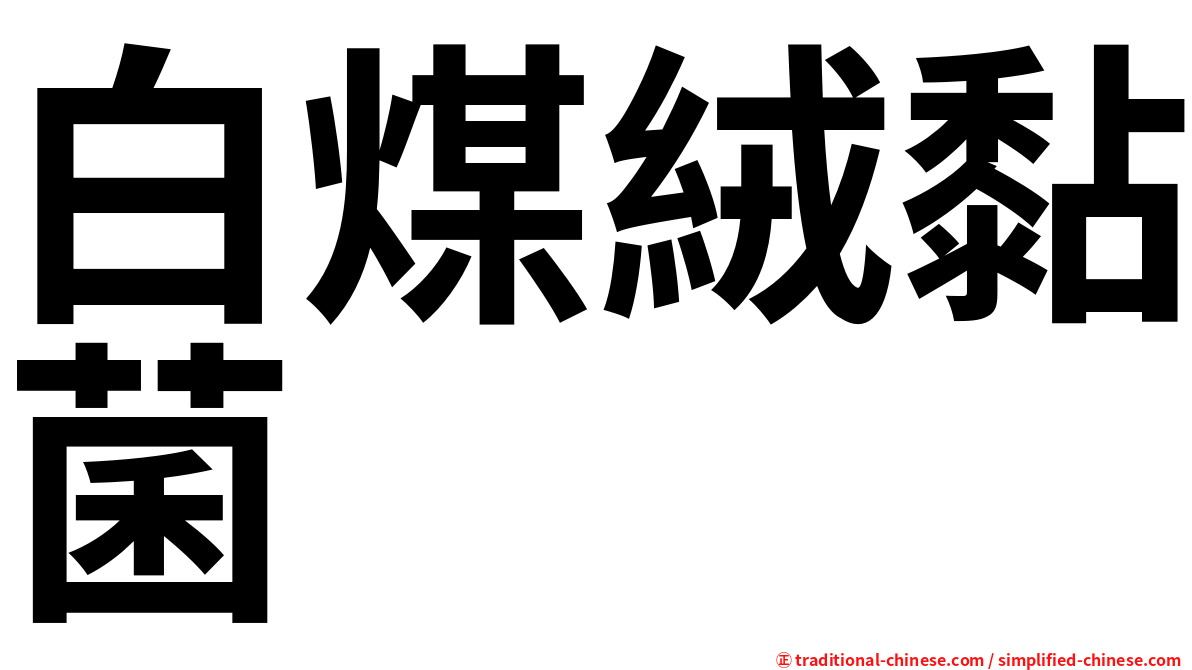 白煤絨黏菌