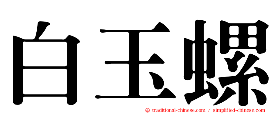 白玉螺