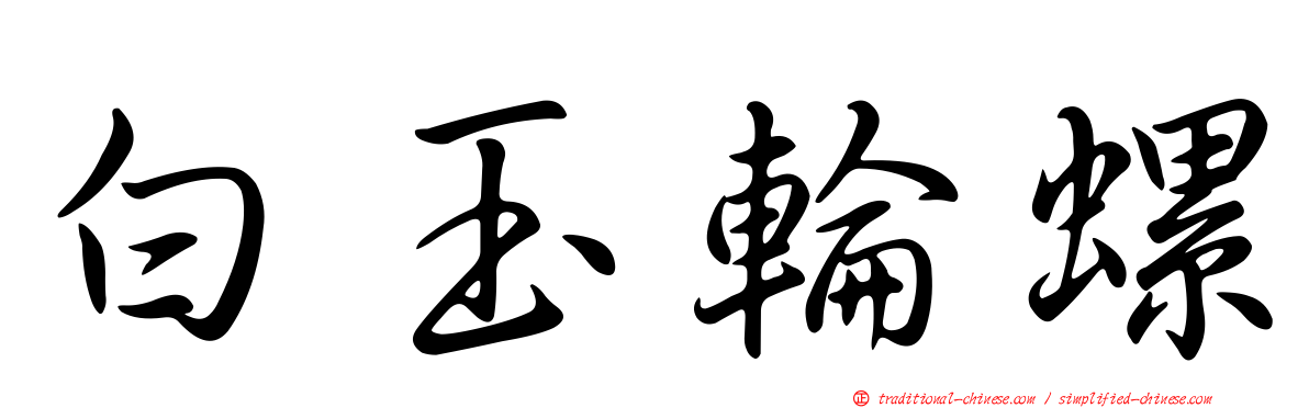 白玉輪螺