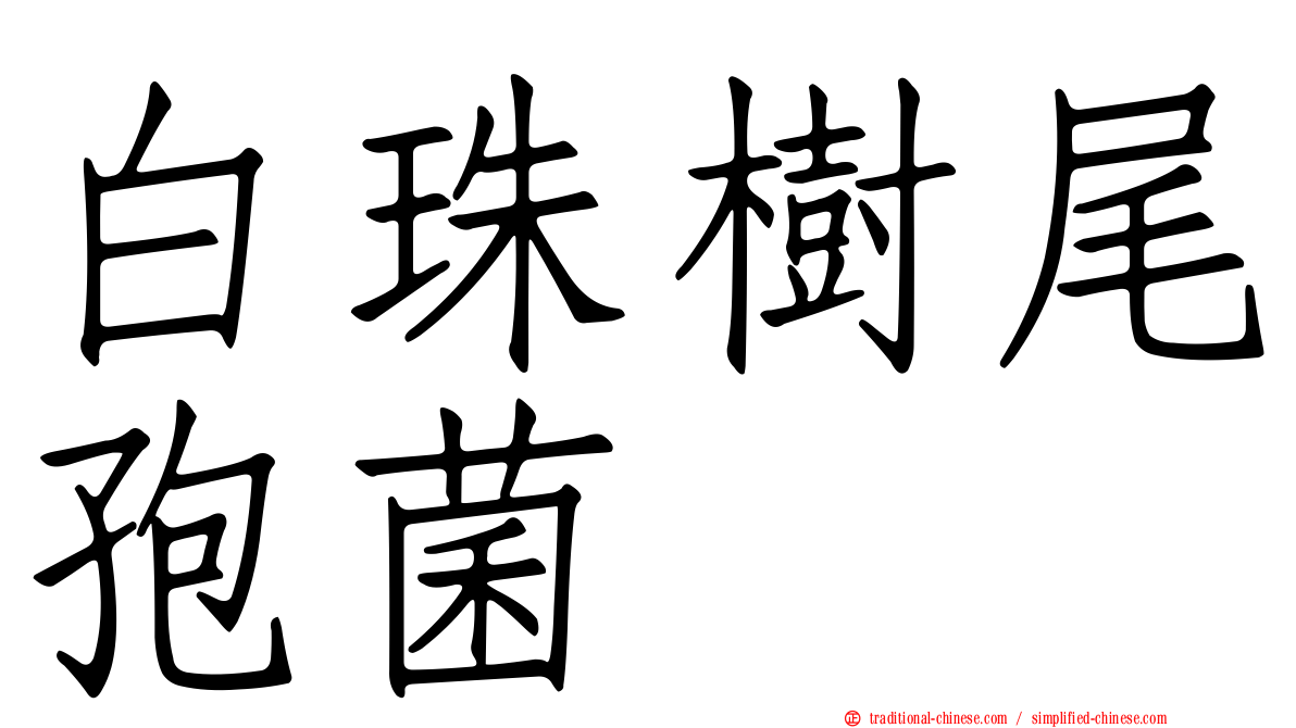 白珠樹尾孢菌