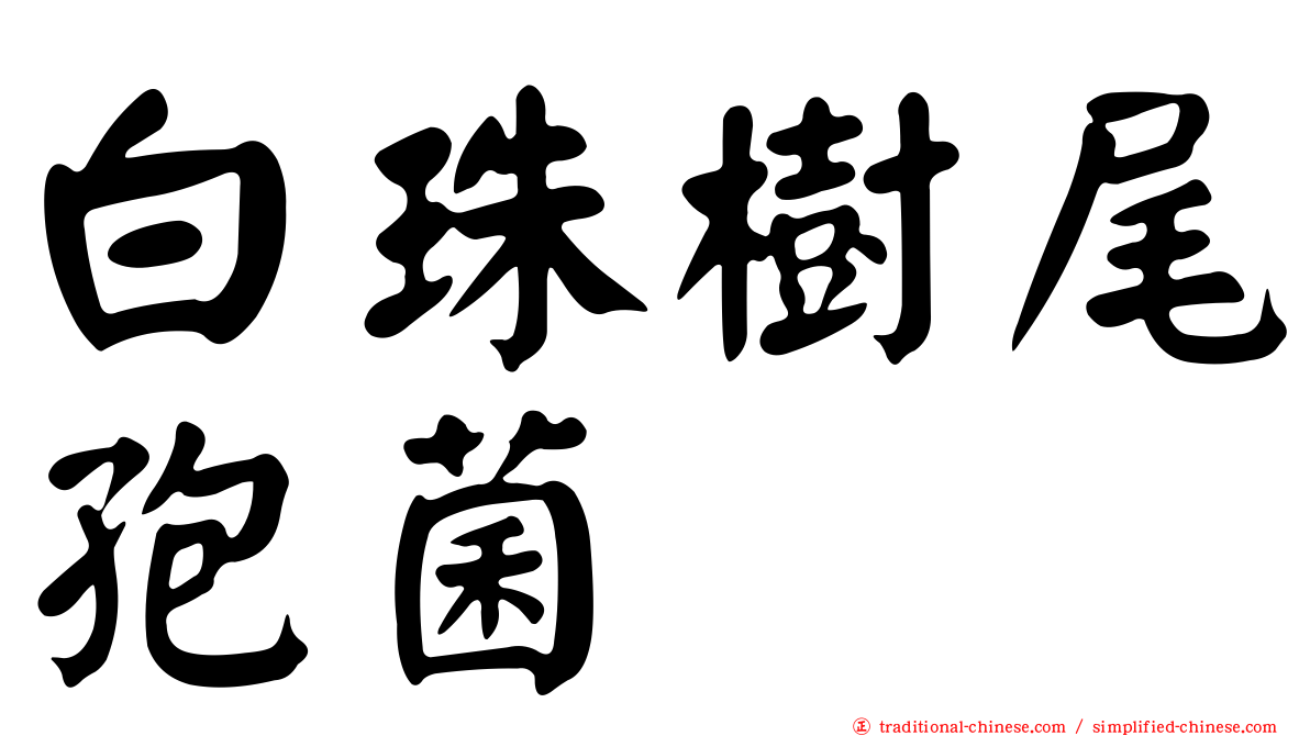 白珠樹尾孢菌