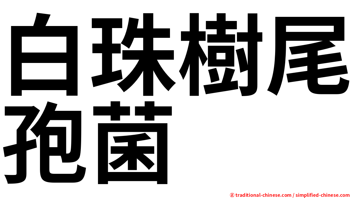 白珠樹尾孢菌