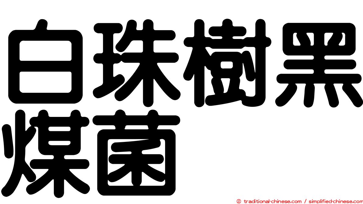 白珠樹黑煤菌