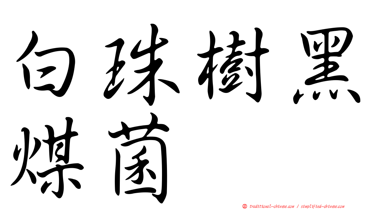 白珠樹黑煤菌