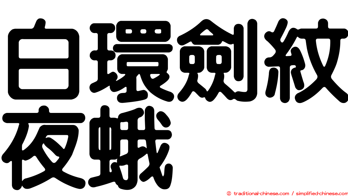 白環劍紋夜蛾