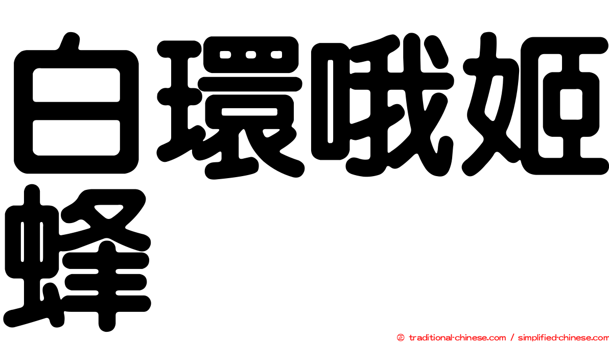 白環哦姬蜂