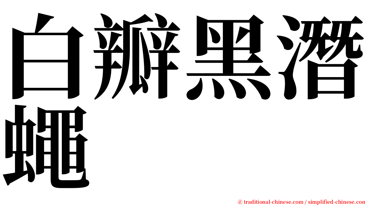 白瓣黑潛蠅 serif font