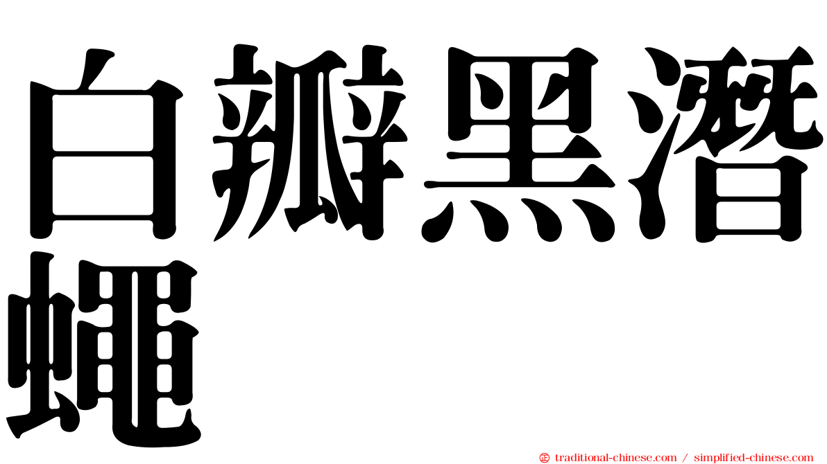白瓣黑潛蠅