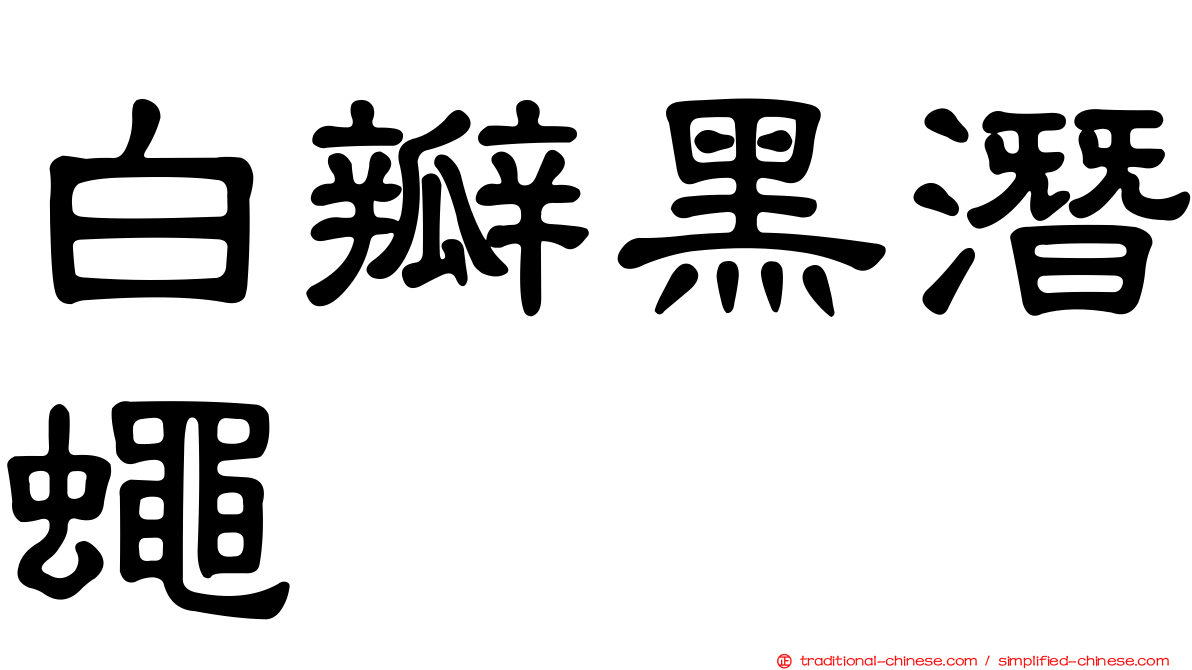 白瓣黑潛蠅