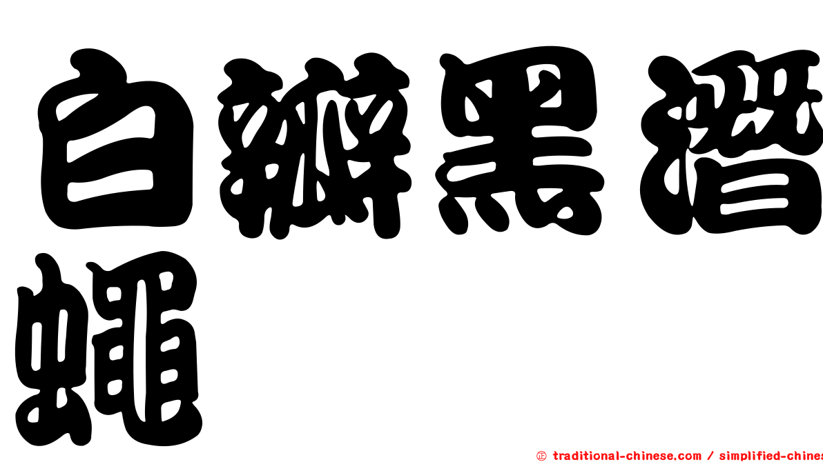 白瓣黑潛蠅