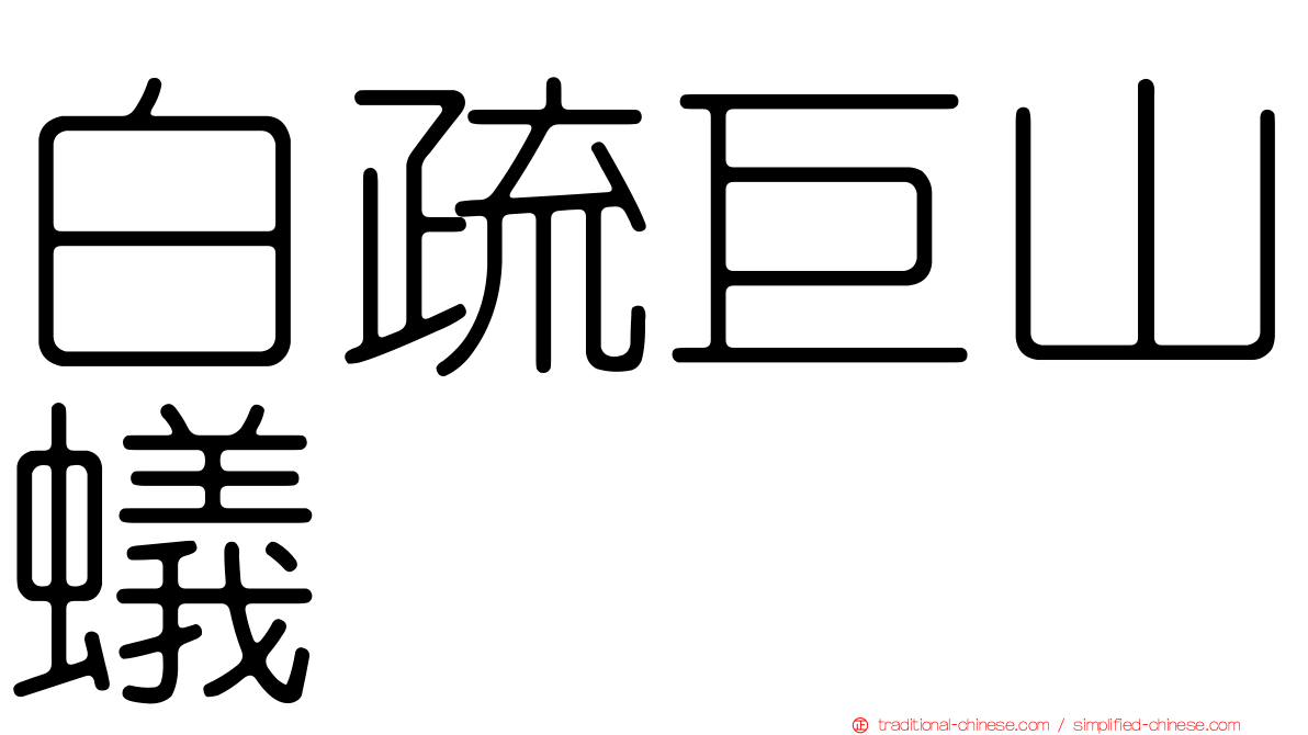 白疏巨山蟻