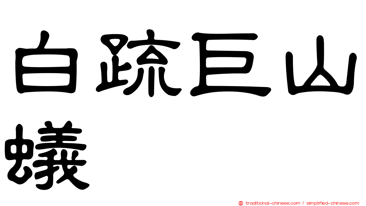 白疏巨山蟻