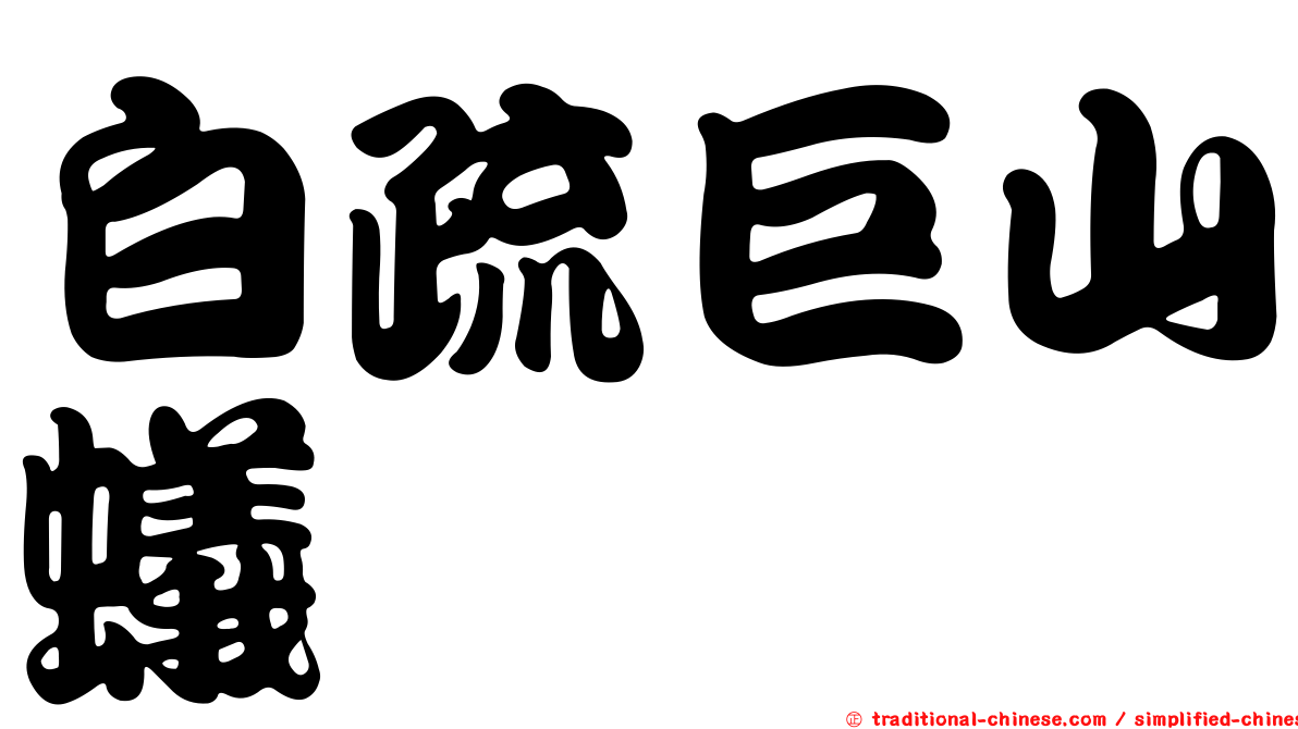 白疏巨山蟻