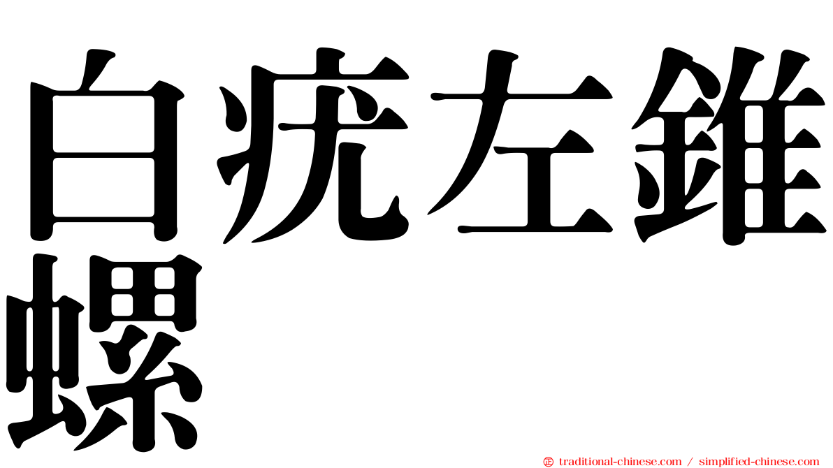 白疣左錐螺