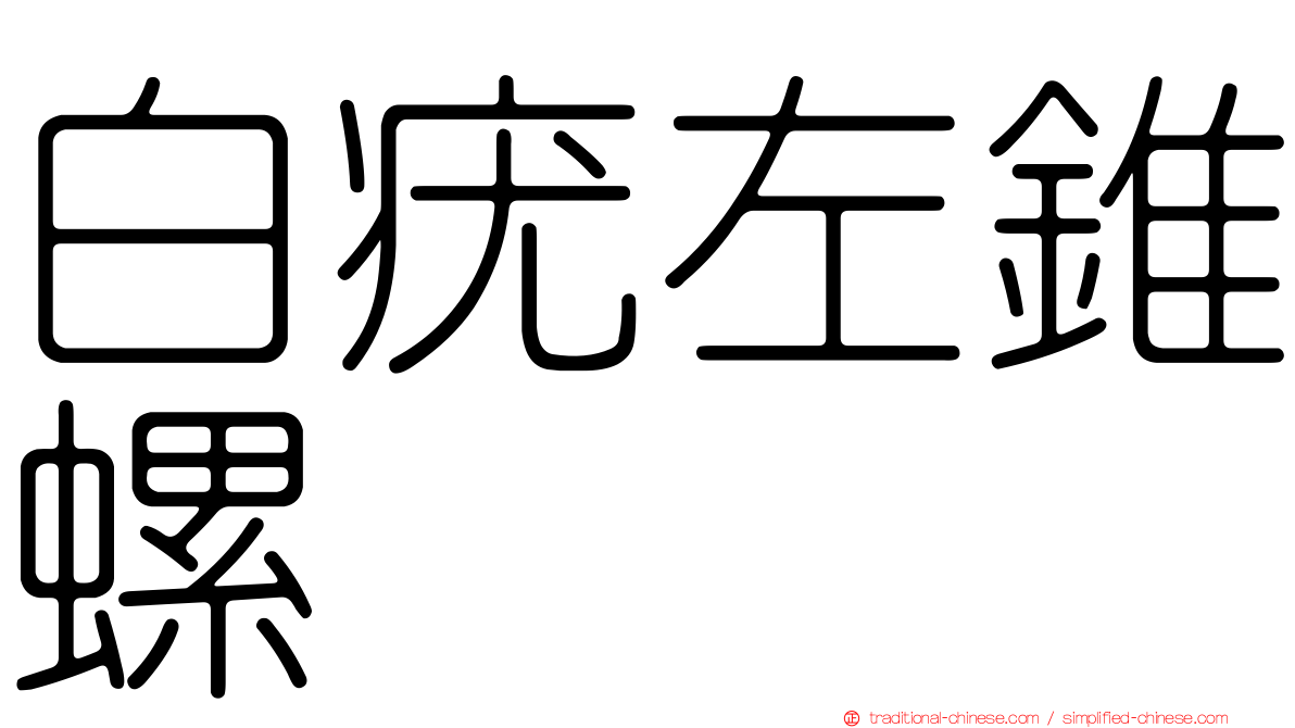 白疣左錐螺