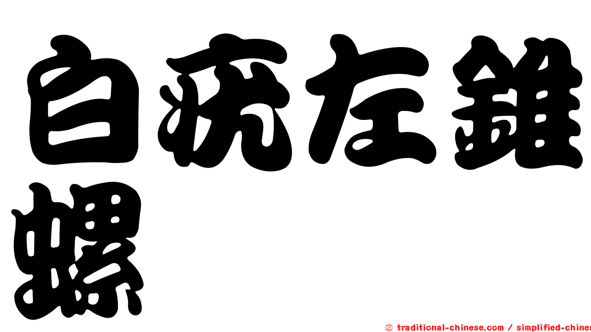 白疣左錐螺