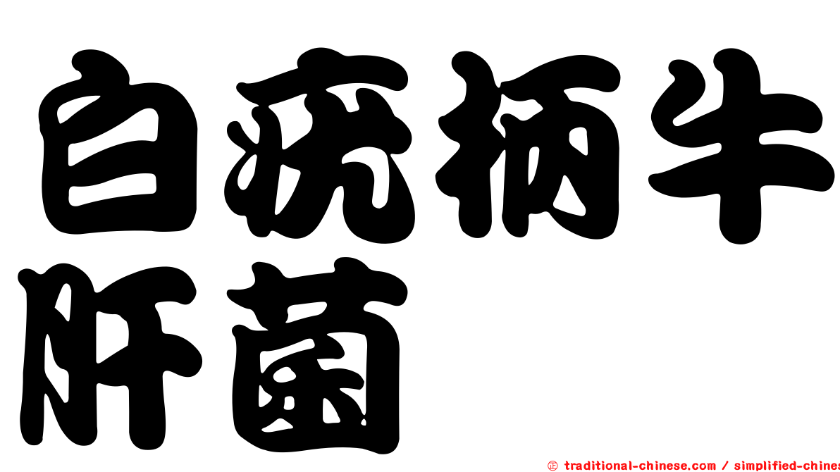 白疣柄牛肝菌