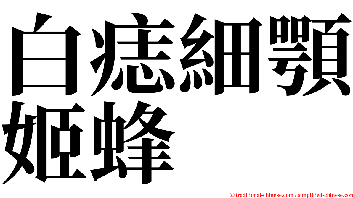 白痣細顎姬蜂 serif font